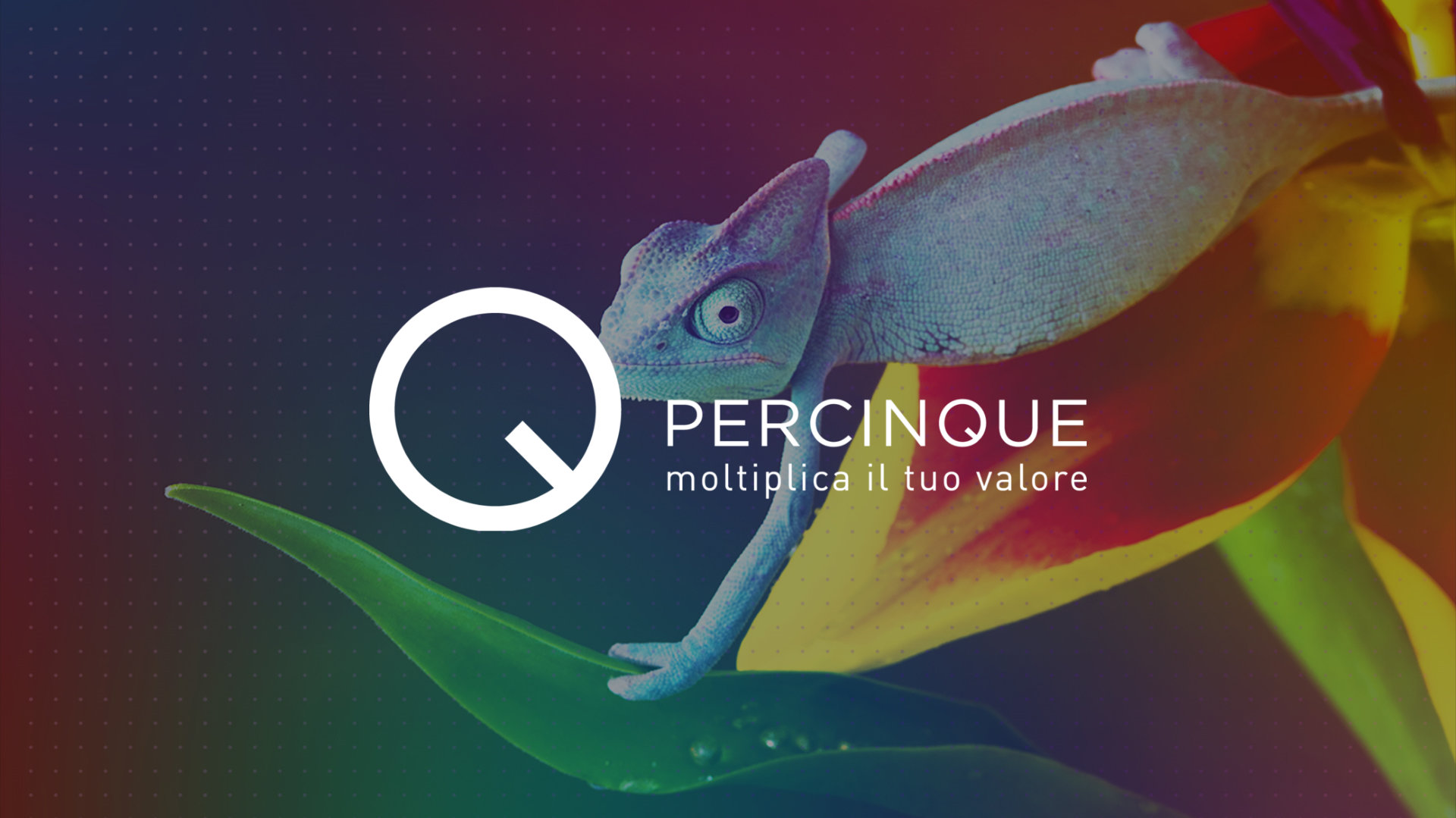 Logo von Percinque Deutschland GmbH (Deutschland) — Firmenprofil im Verzeichnis der SAP-Analytics-Dienstleister von Analytics Legends
